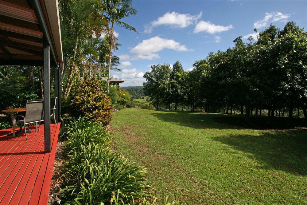 Byron Hinterland Villas Clunes Exteriér fotografie
